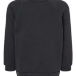Toddler Sponge Fleece Raglan Crewneck Sweatshirt