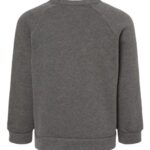Toddler Sponge Fleece Raglan Crewneck Sweatshirt