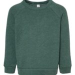 Toddler Sponge Fleece Raglan Crewneck Sweatshirt
