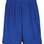Youth Modified Mesh Shorts