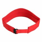The Performance Phoenix Visor
