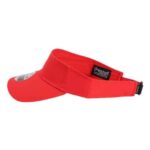 The Performance Phoenix Visor