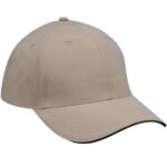 Performer Cap