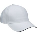 Performer Cap