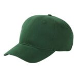 Brushed Twill Cap