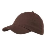 Classic Brushed Twill Cap