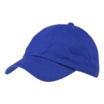 Classic Brushed Twill Cap