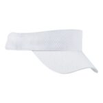 Mesh Visor