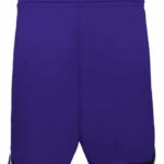 Youth Retro Basketball Shorts