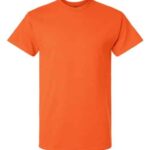 Unisex Ultra Cotton® T-Shirt