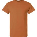 Unisex Ultra Cotton® T-Shirt