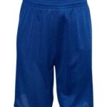 Youth Mesh Shorts