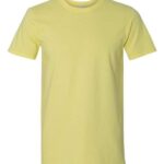 Unisex Softstyle® T-Shirt