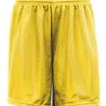 Men's Mesh 9" Shorts