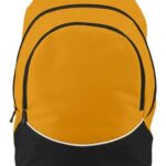 Tri-Color Backpack