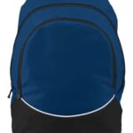 Tri-Color Backpack