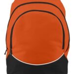 Tri-Color Backpack