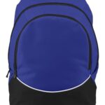 Tri-Color Backpack