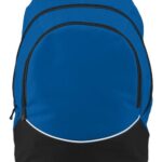 Tri-Color Backpack