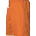 Men's Mesh Shorts
