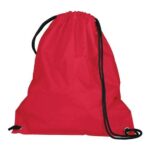 Cinch Bag