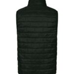 Men's Elemental Puffer Vest