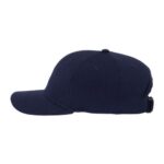 Sustainable Performance Cap