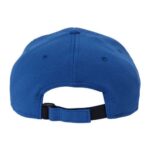 Sustainable Performance Cap