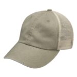 Game Changer Cap