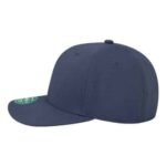 Back Nine Cap