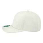 Back Nine Cap