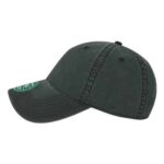 Terra Twill Cap
