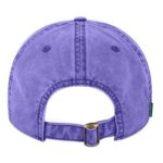 Terra Twill Cap