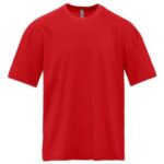 Heavyweight T-Shirt
