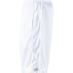 Men's Mesh Shorts