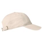 R Dad Cap