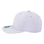 Back Nine Cap