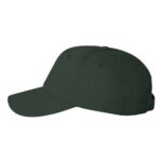 Econ Cap