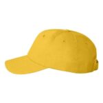 Econ Cap
