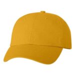 Bio-Washed Classic Dad Hat