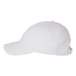 Bio-Washed Classic Dad Hat