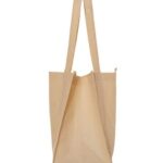 Non-Woven Reusable Shopping Bag