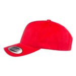 Structured Brushed Twill Cap