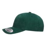 Structured Brushed Twill Cap