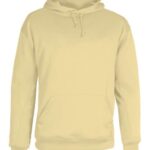 Men's Performance Fleece Hooded Sweatshirt