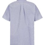 Men's Tall Executive Oxford Dress Shirt