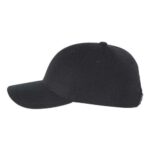 Premium Curved Bill Snapback Cap