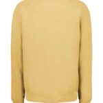 Men's Vintage Fleece Raglan Crewneck Sweatshirt