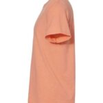 Premium Blend Ring-Spun T-Shirt