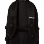 20L Street Backpack